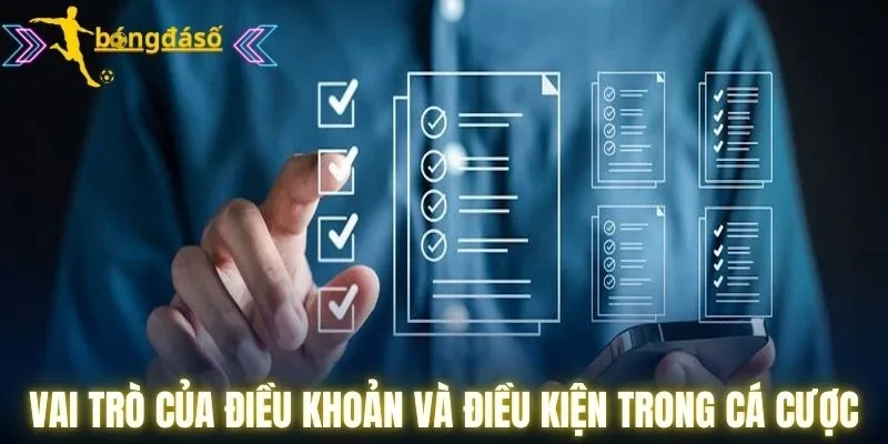 Vai trò của điều khoản và điều kiện trong cá cược